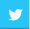 Twitter Logo